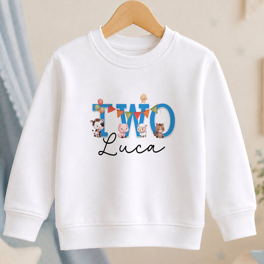 Personalised Turning Two on the Farm jumper