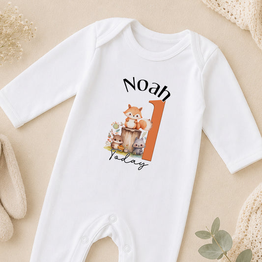 Personalised Woodland Fox First Birthday sleepsuit