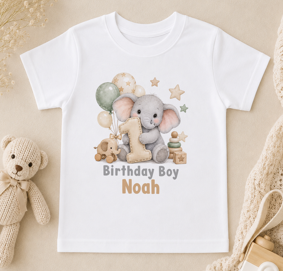 Personalised elephant first birthday boy t-shirt with Birthday Boy Noah
