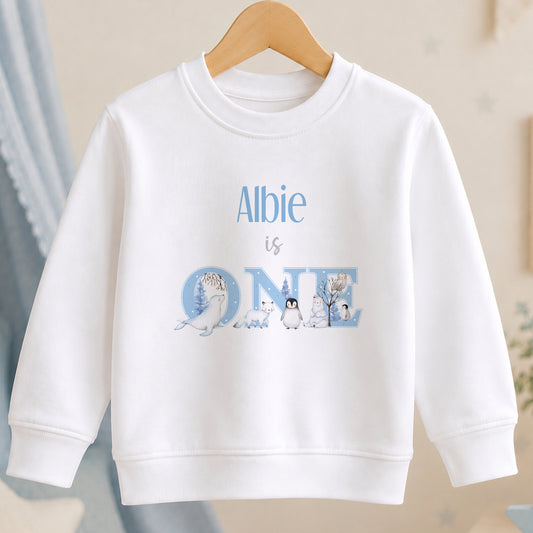 Personalised First Birthday Arctic Adventure jumper