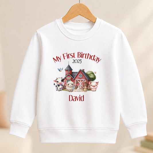 Personalised First Birthday jumper